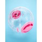 Шар для грызунов с подсветкой «Пижон», 14 см, розовый - Фото 2