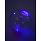 Шар для грызунов с подсветкой «Пижон», 14 см, розовый - Фото 4