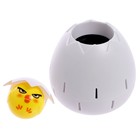 Настольная игра «Яйцо навылет», в пакете - фото 24638103