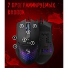Мышь A4Tech Bloody L65 Max черный/фиолетовый оптическая (12000dpi) USB (6but) - фото 51581189 Мышь A4Tech Bloody L65 Max черный/фиолетовый оптическая (12000dpi) USB (6but) - фото 51581189