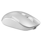 Мышь A4Tech Fstyler FB26CS Air серебристый/белый оптическая (2000dpi) silent беспроводная B 103385 - фото 51526651 Мышь A4Tech Fstyler FB26CS Air серебристый/белый оптическая (2000dpi) silent беспроводная B 103385 - фото 51526651