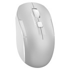 Мышь A4Tech Fstyler FB26CS Air серебристый/белый оптическая (2000dpi) silent беспроводная B 103385 - фото 51526656 Мышь A4Tech Fstyler FB26CS Air серебристый/белый оптическая (2000dpi) silent беспроводная B 103385 - фото 51526656