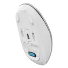 Мышь A4Tech Fstyler FB26CS Air серебристый/белый оптическая (2000dpi) silent беспроводная B 103385 - фото 51526657 Мышь A4Tech Fstyler FB26CS Air серебристый/белый оптическая (2000dpi) silent беспроводная B 103385 - фото 51526657