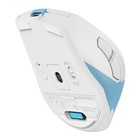 Мышь A4Tech Fstyler FG45CS Air голубой/белый оптическая (2000dpi) silent беспроводная USB д   103385 - фото 51540149