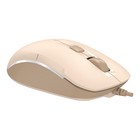 Мышь A4Tech Fstyler FM26 бежевый/коричневый оптическая (2000dpi) USB для ноутбука (4but) - фото 51526751 Мышь A4Tech Fstyler FM26 бежевый/коричневый оптическая (2000dpi) USB для ноутбука (4but) - фото 51526751