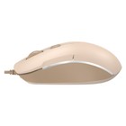 Мышь A4Tech Fstyler FM26 бежевый/коричневый оптическая (2000dpi) USB для ноутбука (4but) - фото 51526752 Мышь A4Tech Fstyler FM26 бежевый/коричневый оптическая (2000dpi) USB для ноутбука (4but) - фото 51526752