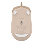 Мышь A4Tech Fstyler FM26 бежевый/коричневый оптическая (2000dpi) USB для ноутбука (4but) - Фото 10
