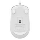 Мышь A4Tech Fstyler FM26 серебристый/белый оптическая (2000dpi) USB для ноутбука (4but) - Фото 10
