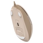 Мышь A4Tech Fstyler FM26S бежевый/коричневый оптическая (2000dpi) silent USB для ноутбука (   103385 - Фото 9