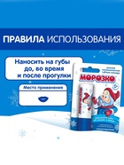 Гигиеническая помада зимняя «Морозко» детская, 2.8 г - Фото 7