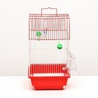 Клетка для птиц укомплектованная Bd-1/2q, 30 х 23 х 39 см, красная - Фото 2