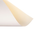 Картон белый А4, 10 листов двусторонний, мелованный, блок 230 г/м2, EXTRA белизна - Фото 4
