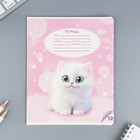 Тетрадь 12 листов в косую линейку, А5, на скрепке, блок №1 «Пушистые питомцы» МИКС - Фото 8