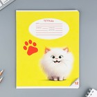 Тетрадь 12 листов в косую линейку, А5, на скрепке, блок №1 «Пушистые питомцы» МИКС - Фото 9