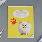 Тетрадь 12 листов в частую косую линейку, А5, на скрепке, блок №1 «Пушистые питомцы» МИКС - Фото 7