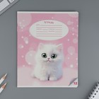 Тетрадь 12 листов в частую косую линейку, А5, на скрепке, блок №1 «Пушистые питомцы» МИКС - Фото 8