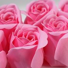 Подарочный набор ежедневник А5,80 листов и мыльные лепестки «Счастье в каждом дне» - фото 51890865