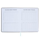 Дневник школьный для 5-11 классов, обложка ПВХ, "Леопард", серый - фото 23641555