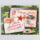 Пакет подарочный ламинированный, упаковка, «Полевая почта», MS 23 х 18 х 8 см - Фото 3