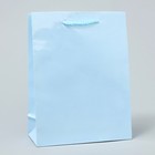 Пакет подарочный ламинированный, упаковка, «Голубой», MS 18 х 23 х 8 см - фото 3271406