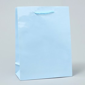 Пакет подарочный ламинированный, упаковка, «Голубой», MS 18 х 23 х 8 см