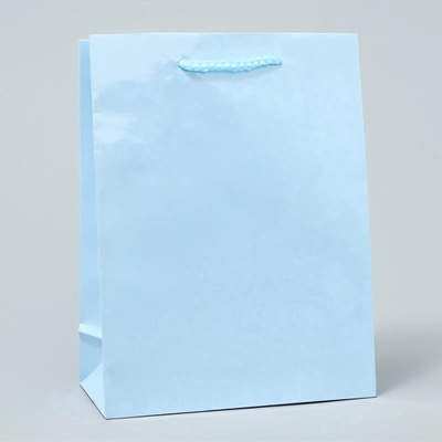 Пакет подарочный ламинированный, упаковка, «Голубой», MS 18×23×8 см