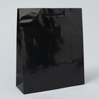 Пакет подарочный ламинированный, упаковка, «Чёрный», ML 21 х 25 х 8 см - фото 3271410