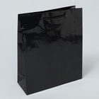 Пакет подарочный ламинированный, упаковка, «Чёрный», ML 21 х 25 х 8 см 10074183