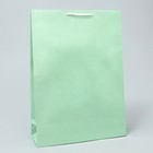 Пакет подарочный ламинированный, упаковка, Green, L 28 х 38 х 9 см - фото 321045951