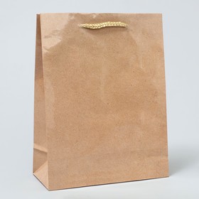 Пакет подарочный ламинированный, упаковка, «Крафт», MS 18 х 23 х 8 см