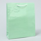 Пакет подарочный ламинированный, упаковка, «Зелёный», ML 21 х 25 х 8 см - фото 8517281
