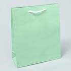 Пакет подарочный ламинированный, упаковка, «Зелёный», ML 21 х 25 х 8 см - Фото 2
