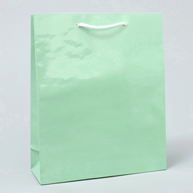 Пакет подарочный ламинированный, упаковка, «Зелёный», ML 21 х 25 х 8 см (комплект 2 шт)