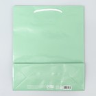 Пакет подарочный ламинированный, упаковка, «Зелёный», ML 21 х 25 х 8 см - Фото 4