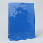 Пакет подарочный ламинированный, упаковка, Blue, L 28 х 38 х 9 см - фото 3271426