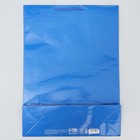 Пакет подарочный ламинированный, упаковка, Blue, L 28 х 38 х 9 см - Фото 4