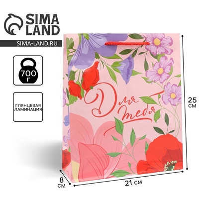 Пакет подарочный ламинированный, упаковка, «Для тебя», ML 21×25×8 см