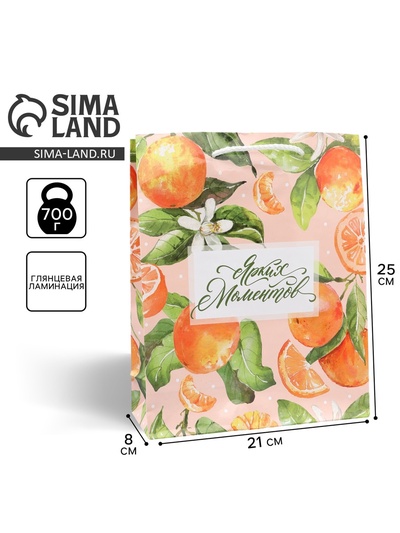 Пакет подарочный ламинированный, упаковка, «Ярких моментов», ML 21 х 25 х 8 см