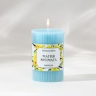 Ароматическая свеча столбик «Магия аромата», аромат ваниль, 7,5 х 5 см. - фото 299114411