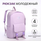 Рюкзак школьный из текстиля на молнии, 4 кармана, цвет сиреневый - фото 3271663