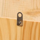 Термометр для бани и сауны «Банщик» 25.5×12.5 см, деревянный, «Добропаровъ» - Фото 5