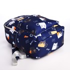 Рюкзак школьный из текстиля на молнии, 3 кармана, цвет синий - фото 11146599