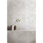 Стеновая панель ПВХ «Аляска», 1200×600×2.5 мм, цвет сатиновый серый  (артикул 10340732)  большой выбор товаров оптом и в розницу по низким ценам с доставкой