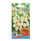 Семена Шелковица "Белая", 0,15 г - Фото 1