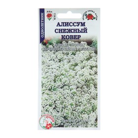 Семена цветов Алиссум "Снежный ковер", 0,1 г