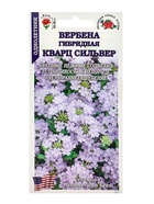 Семена цветов Вербена "Кварц Сильвер",  5 шт - Фото 3