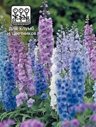 Семена цветов Дельфиниум "Дельфина микс", 5 шт - фото 35013983