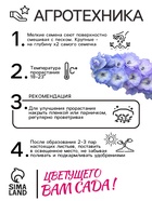 Семена цветов Дельфиниум "Дельфина микс", 5 шт - фото 35013984