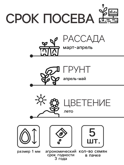 Семена цветов Колокольчик «Рапидо Уайт», 5 шт., «Золотая Сотка Алтая»