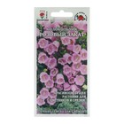 Семена цветов Колокольчик "Розовый закат", 0,1 г - фото 24841703